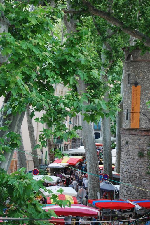 Hotel Vidal Céret Exterior photo